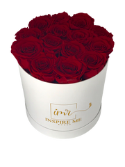 Medium Signature Round Box - White - Inspire Me Roses
